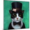 Tuxedo Cat-Lucia Heffernan-Mounted Art Print