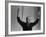 TV Emcee Ed Sullivan Holding His Arms Up, During 20th Anniversary Show-Arthur Schatz-Framed Premium Photographic Print