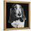 TV Star Dog J. J. Morgan Posing for a "Life" Picture-Walter Sanders-Framed Premier Image Canvas