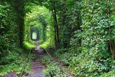 Tunnel of Love-tverkhovinets-Framed Premier Image Canvas