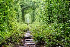 Tunnel of Love-tverkhovinets-Framed Photographic Print