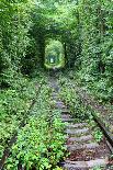 Tunnel of Love-tverkhovinets-Framed Photographic Print