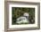 Tvindefossen Waterfall, Tvinde Near Voss, Hordaland, Norway, Scandinavia, Europe-Gary Cook-Framed Photographic Print