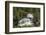 Tvindefossen Waterfall, Tvinde Near Voss, Hordaland, Norway, Scandinavia, Europe-Gary Cook-Framed Photographic Print