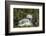 Tvindefossen Waterfall, Tvinde Near Voss, Hordaland, Norway, Scandinavia, Europe-Gary Cook-Framed Photographic Print