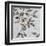 Tweet Tweet II-Eva Watts-Framed Art Print