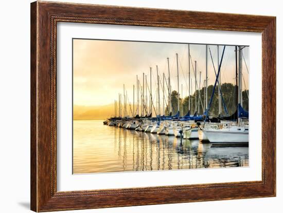 Twelve in a Row-Danny Head-Framed Photographic Print