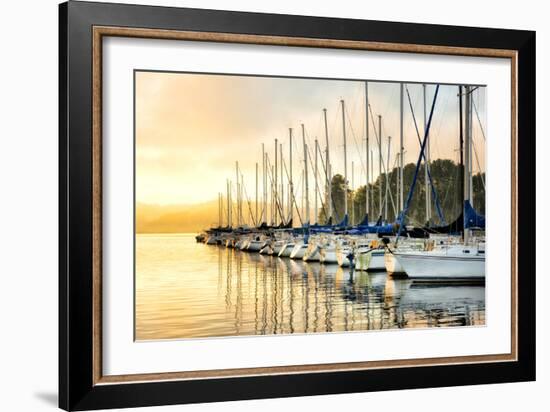 Twelve in a Row-Danny Head-Framed Photographic Print