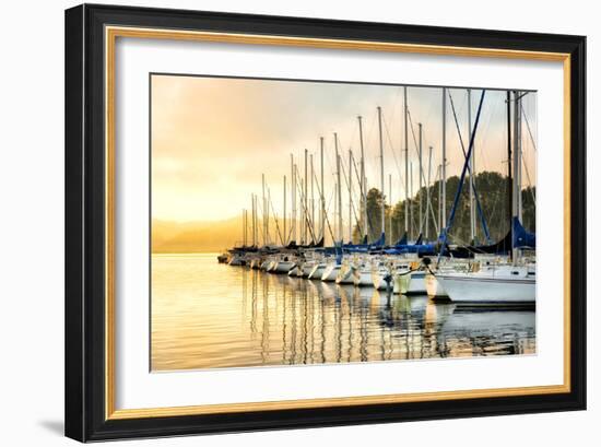 Twelve in a Row-Danny Head-Framed Photographic Print