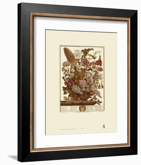 Twelve Months of Flowers, 1730, August-Robert Furber-Framed Art Print