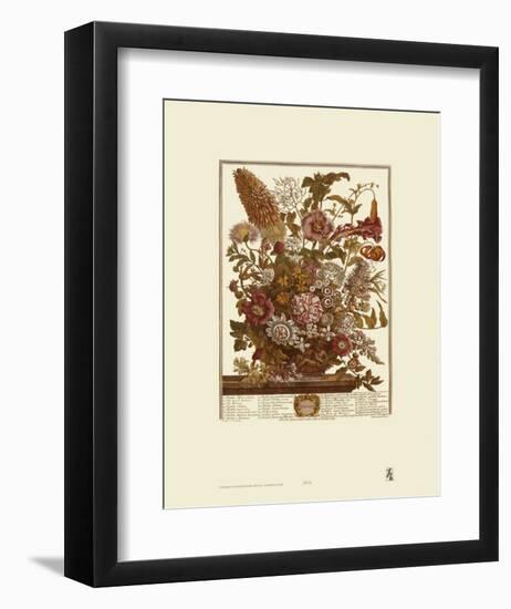 Twelve Months of Flowers, 1730, August-Robert Furber-Framed Art Print