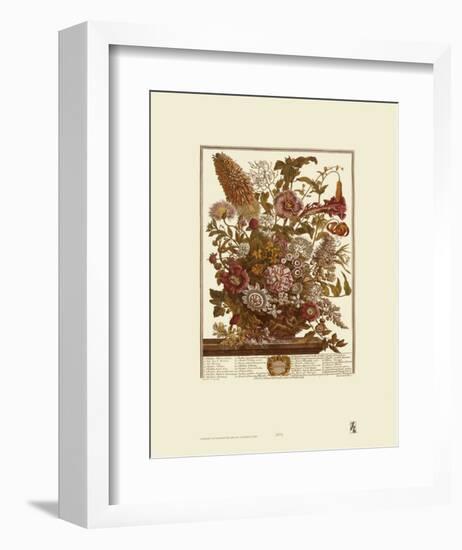 Twelve Months of Flowers, 1730, August-Robert Furber-Framed Art Print