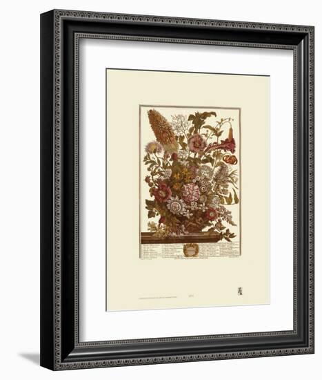 Twelve Months of Flowers, 1730, August-Robert Furber-Framed Art Print