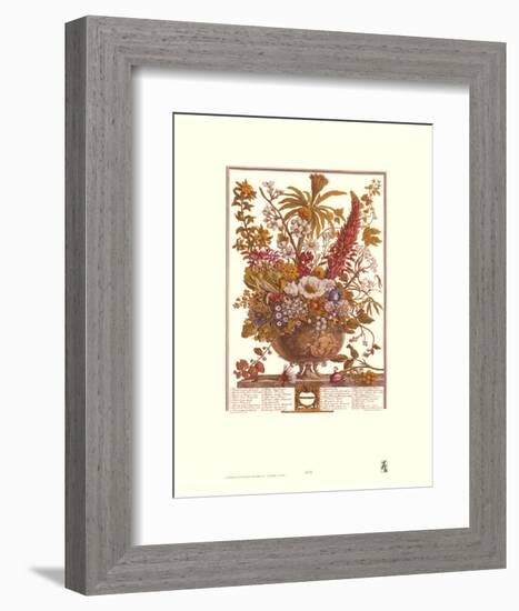 Twelve Months of Flowers, 1730, December-Robert Furber-Framed Art Print