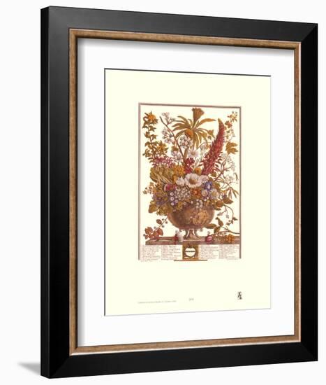 Twelve Months of Flowers, 1730, December-Robert Furber-Framed Art Print