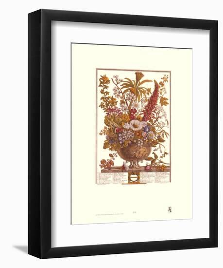 Twelve Months of Flowers, 1730, December-Robert Furber-Framed Art Print