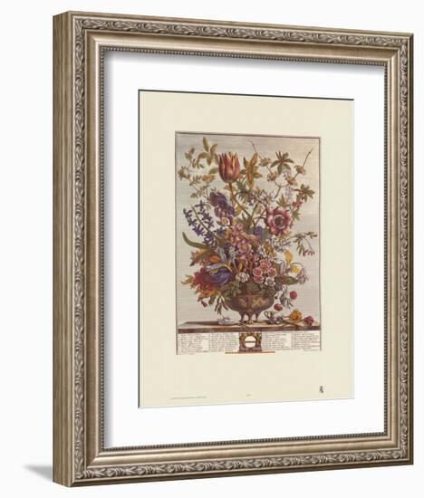 Twelve Months of Flowers, 1730, February-Robert Furber-Framed Art Print