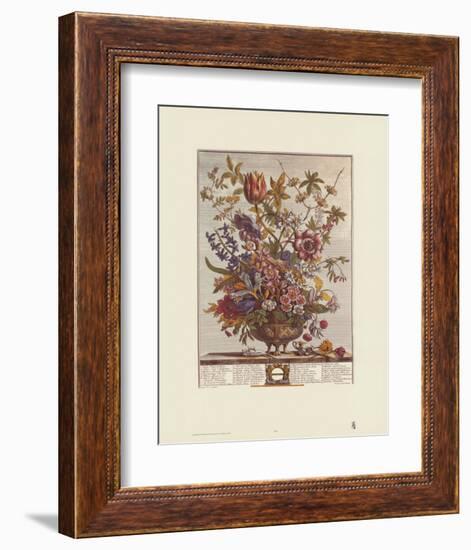 Twelve Months of Flowers, 1730, February-Robert Furber-Framed Art Print