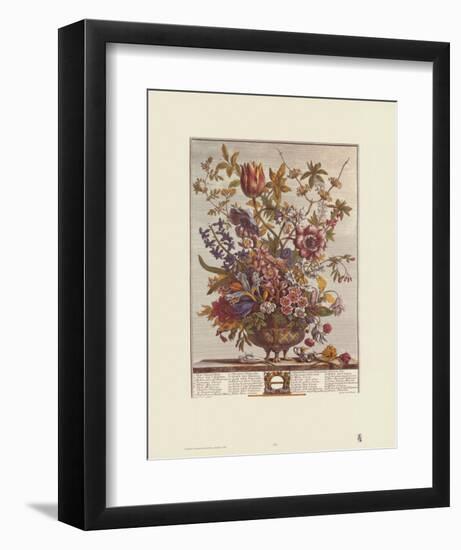 Twelve Months of Flowers, 1730, February-Robert Furber-Framed Art Print