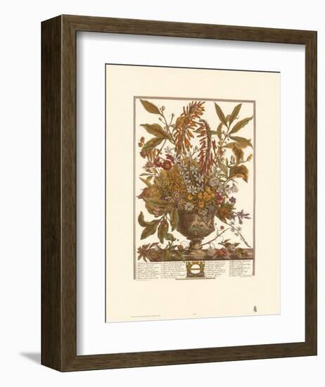 Twelve Months of Flowers, 1730, January-Robert Furber-Framed Art Print