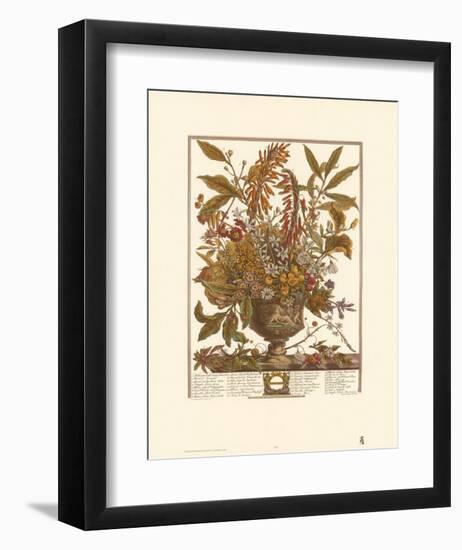 Twelve Months of Flowers, 1730, January-Robert Furber-Framed Art Print