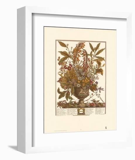 Twelve Months of Flowers, 1730, January-Robert Furber-Framed Art Print