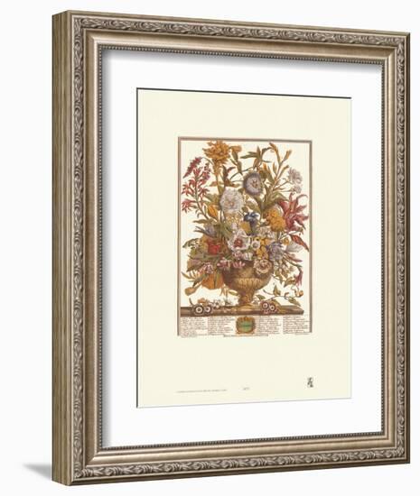 Twelve Months of Flowers, 1730, September-Robert Furber-Framed Art Print