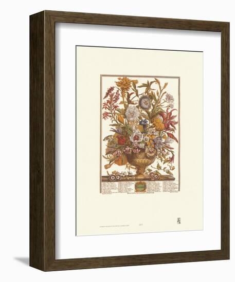 Twelve Months of Flowers, 1730, September-Robert Furber-Framed Art Print