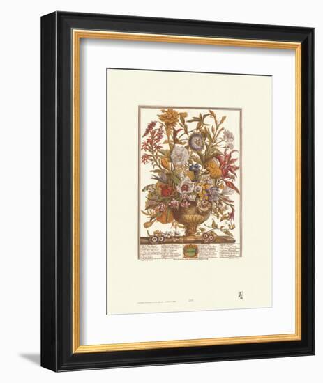 Twelve Months of Flowers, 1730, September-Robert Furber-Framed Art Print