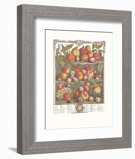 Twelve Months of Fruits, 1732, August-Robert Furber-Framed Art Print