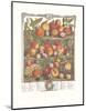 Twelve Months of Fruits, 1732, August-Robert Furber-Mounted Art Print