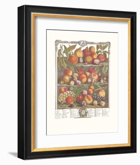 Twelve Months of Fruits, 1732, August-Robert Furber-Framed Art Print