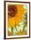 Twelve Sunflowers (detail)-Vincent van Gogh-Framed Art Print