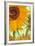 Twelve Sunflowers (detail)-Vincent van Gogh-Framed Art Print