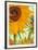 Twelve Sunflowers (detail)-Vincent van Gogh-Framed Art Print