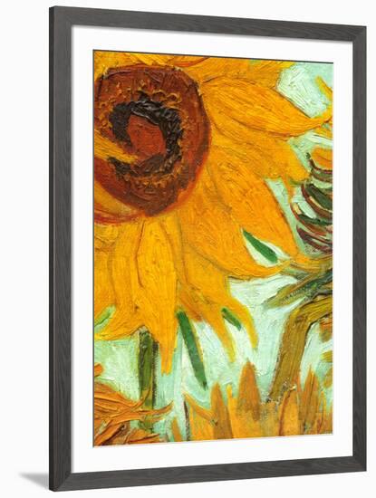 Twelve Sunflowers (detail)-Vincent van Gogh-Framed Art Print