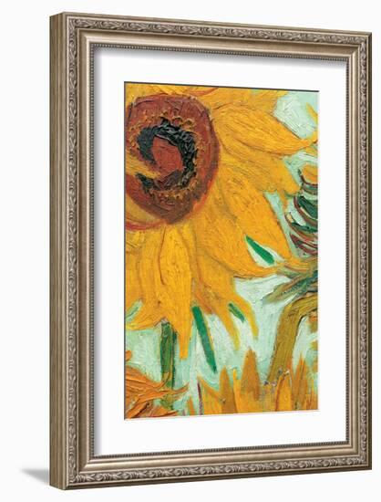 Twelve Sunflowers (detail)-Vincent van Gogh-Framed Premium Giclee Print