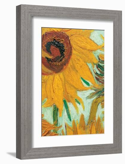 Twelve Sunflowers (detail)-Vincent van Gogh-Framed Premium Giclee Print