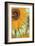 Twelve Sunflowers (detail)-Vincent van Gogh-Framed Premium Giclee Print