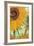 Twelve Sunflowers (detail)-Vincent van Gogh-Framed Premium Giclee Print