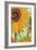 Twelve Sunflowers (detail)-Vincent van Gogh-Framed Premium Giclee Print