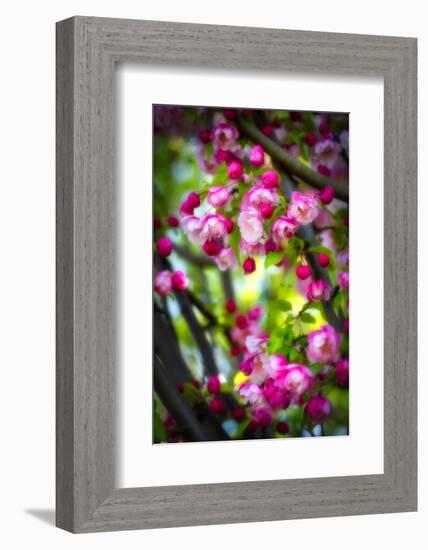 Twice As Nice-Philippe Sainte-Laudy-Framed Photographic Print