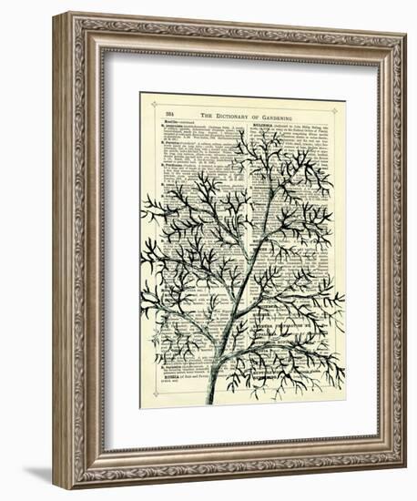 Twigs 1-Marion Mcconaghie-Framed Art Print