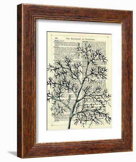 Twigs 1-Marion Mcconaghie-Framed Art Print