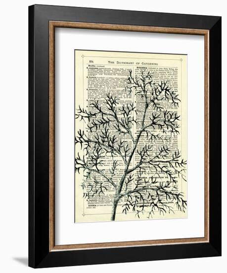 Twigs 1-Marion Mcconaghie-Framed Art Print