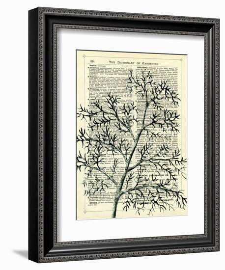 Twigs 1-Marion Mcconaghie-Framed Art Print