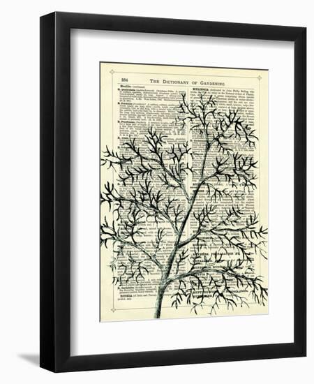 Twigs 1-Marion Mcconaghie-Framed Art Print