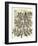 Twigs 2-Marion Mcconaghie-Framed Art Print