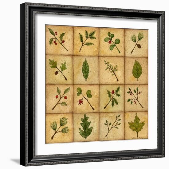 Twigs-Robin Betterley-Framed Giclee Print