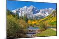 Photographic Print